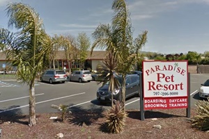 Paradise Pet Resorts, Sonoma pet bosrding and dog daycare, santa rosa pet resot,, pet resort near Sonoma Valley, California